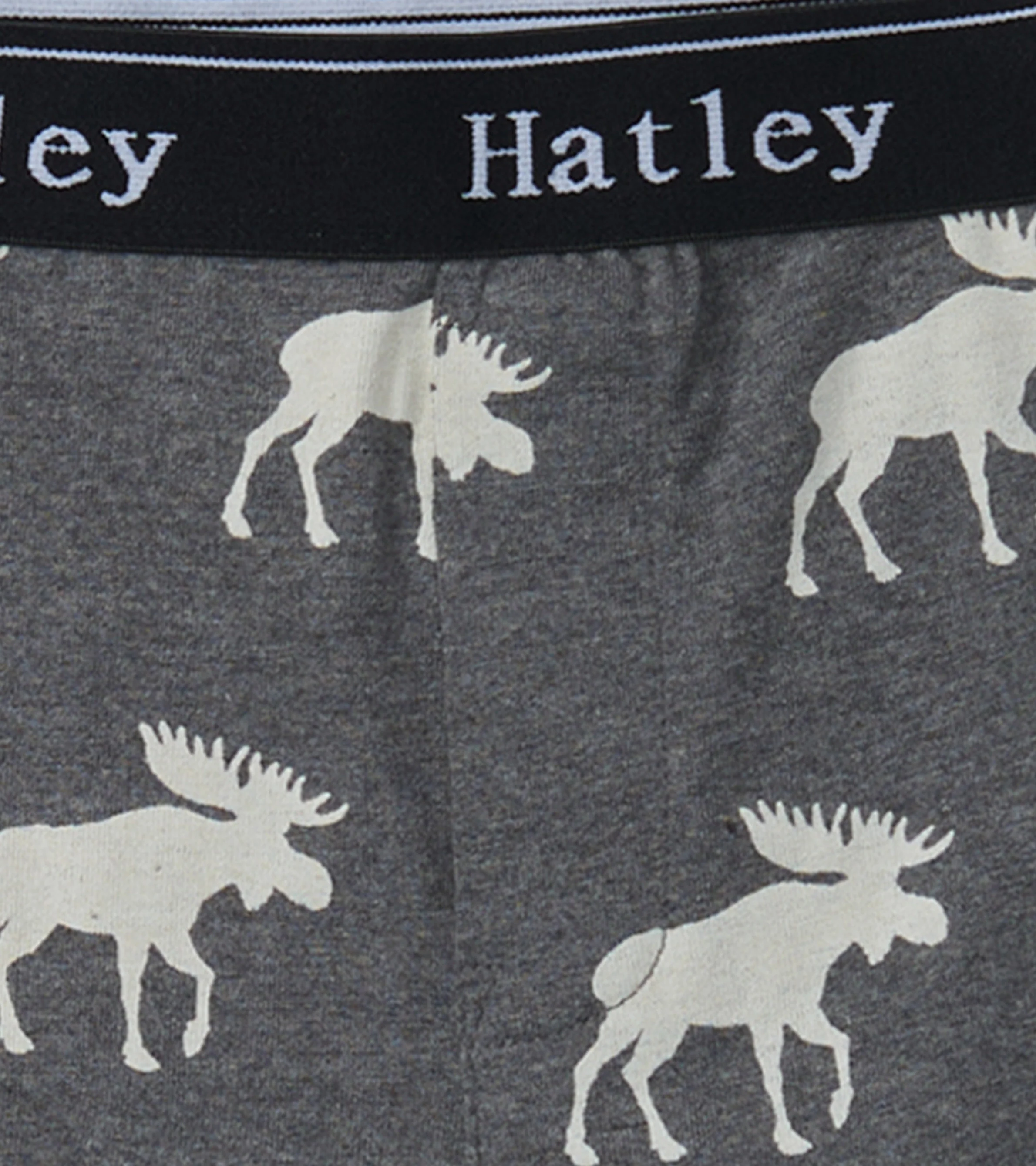 Boys Silhouette Animals 3 Pack Boxer Briefs - Image 2