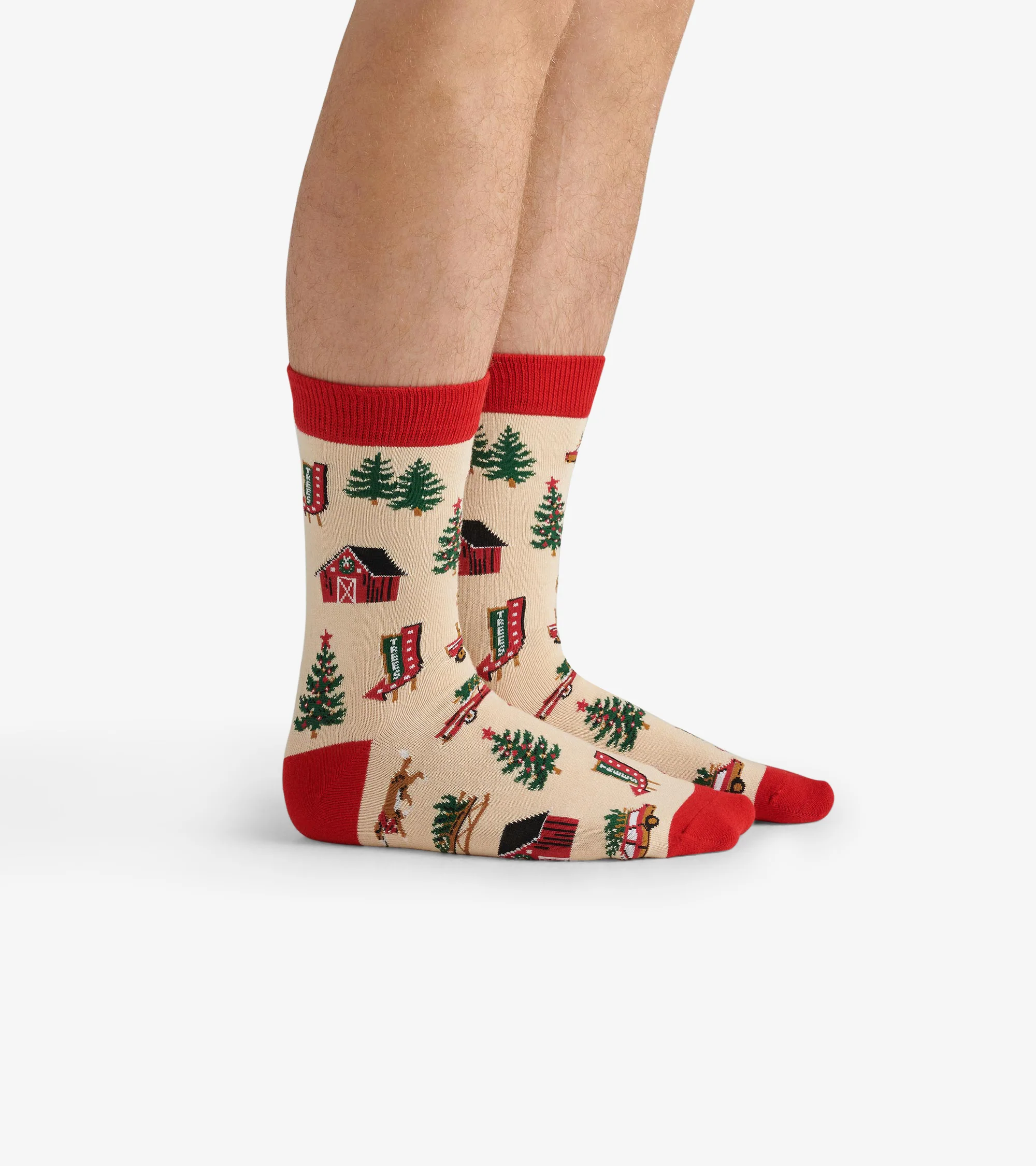 Men's Christmas Tree Farm Crew Socks