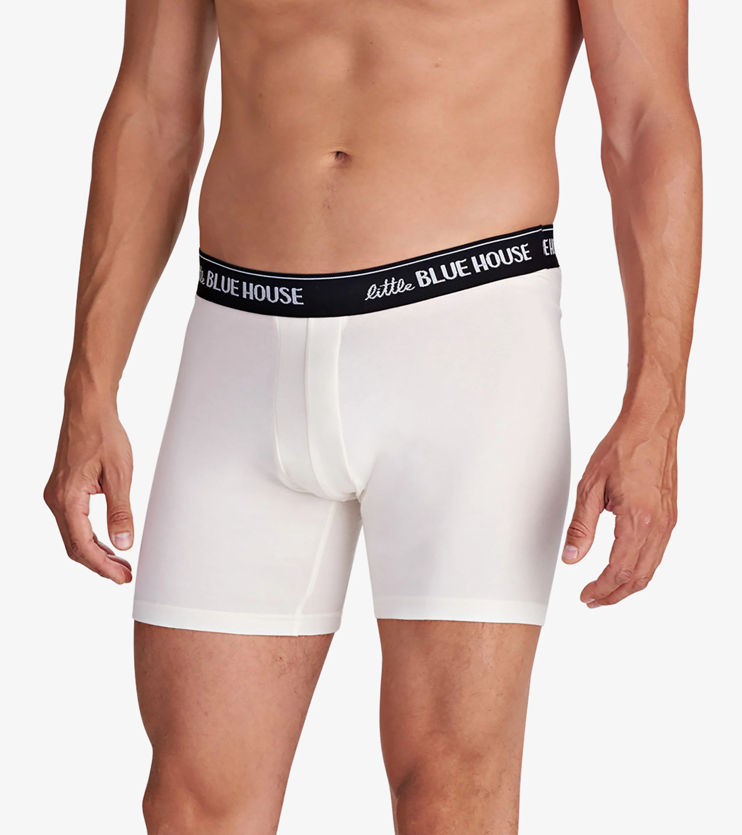 Nice Bass Men's Boxer Briefs - Image 2