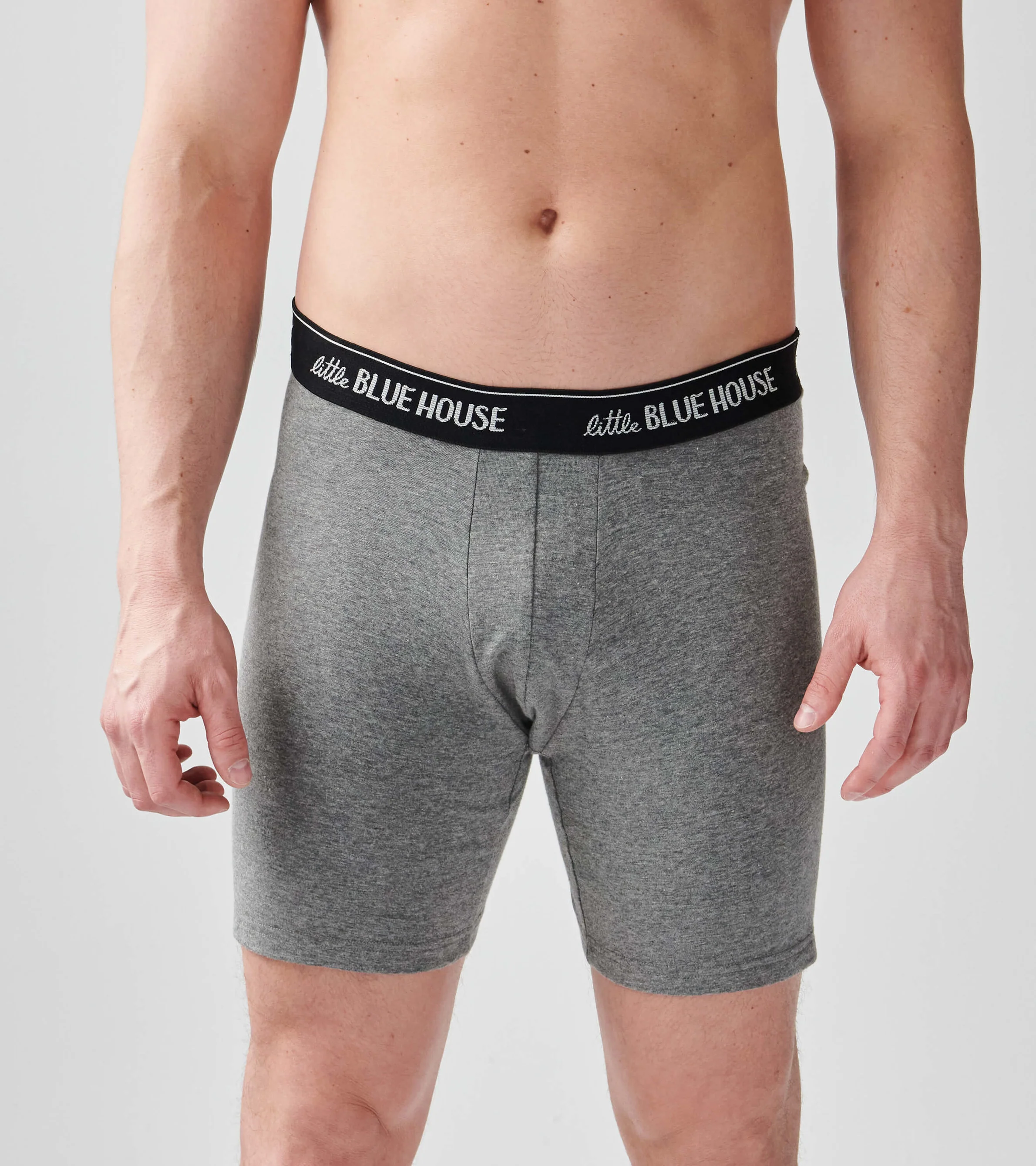Red Plaid Bear Men's Boxer Briefs - Image 2